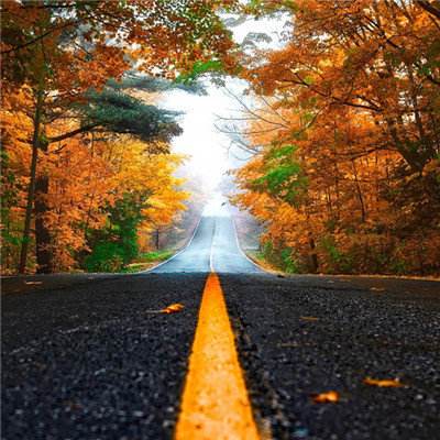 爱游戏综合APP下载